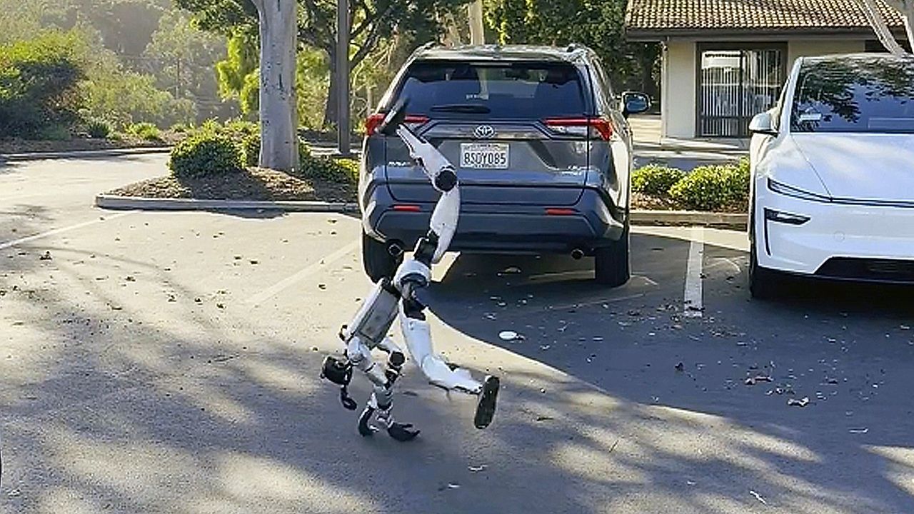 Robot pulls off impressive cartwheel then gets too confident