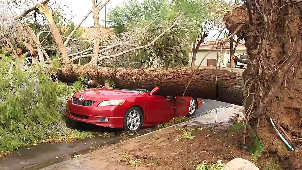 Heftiger Fallwind: „Microburst“ zerstört Dutzende Häuser in Arizona