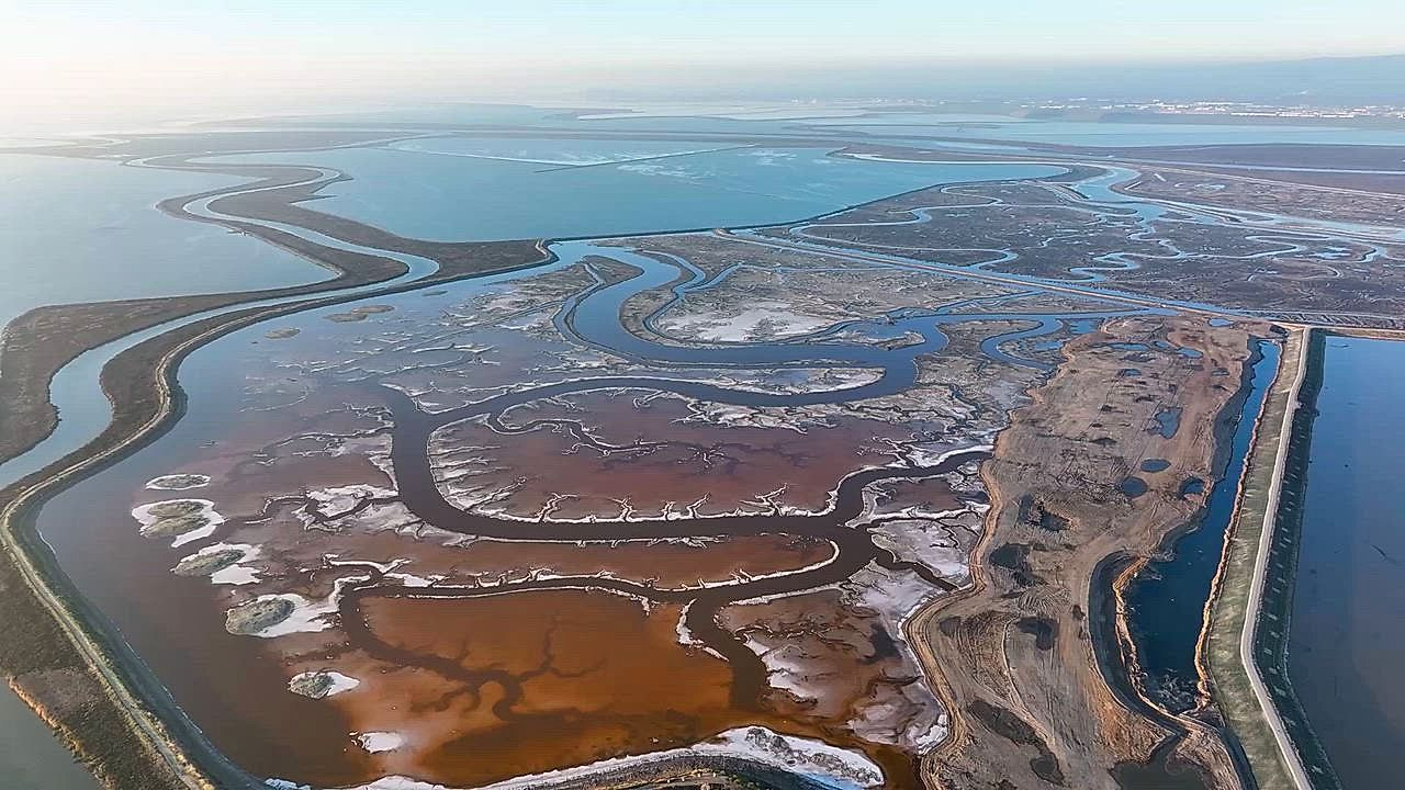 Drone captures spectacular pink salt ponds of Alviso Marina County Park in California