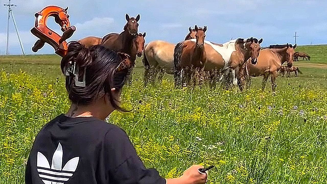 Music-drifts-across-the-steppe-as-horses-gather-around-musician