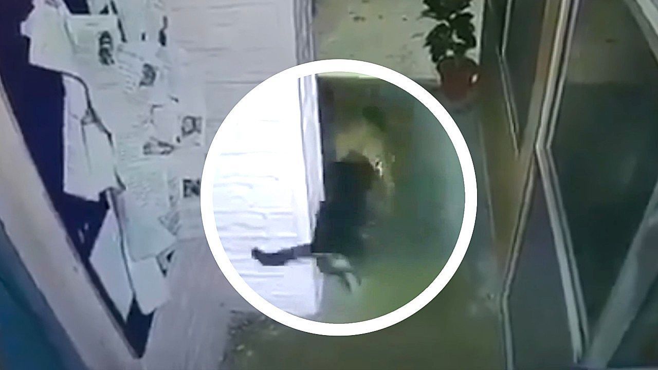 Video: Brave dog charges a deadly intruder in the night to protect police officers