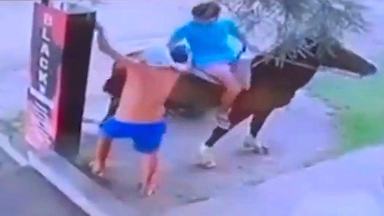 Video: Knife threat turns chaotic as robbers flee on horse in Argentina