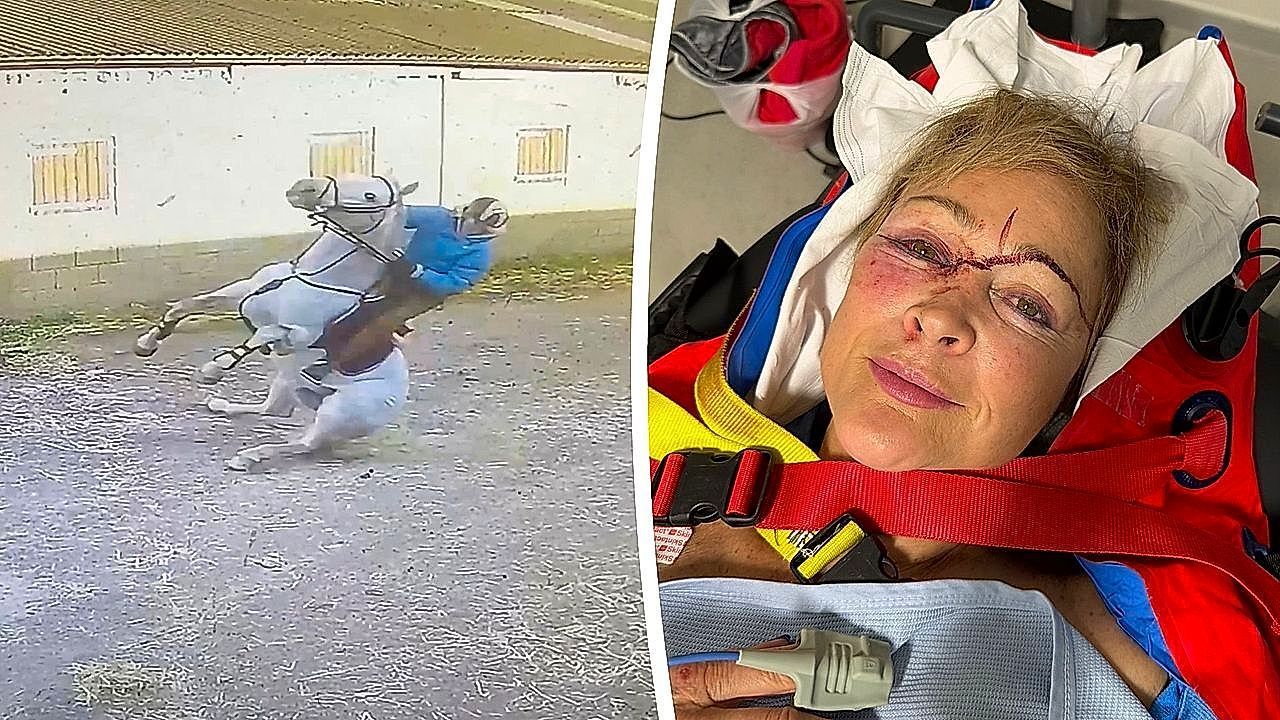 Wegen-einer-Taube-Pferd-rutscht-auf-Eis-aus-und-st-rzt-auf-Reiterin