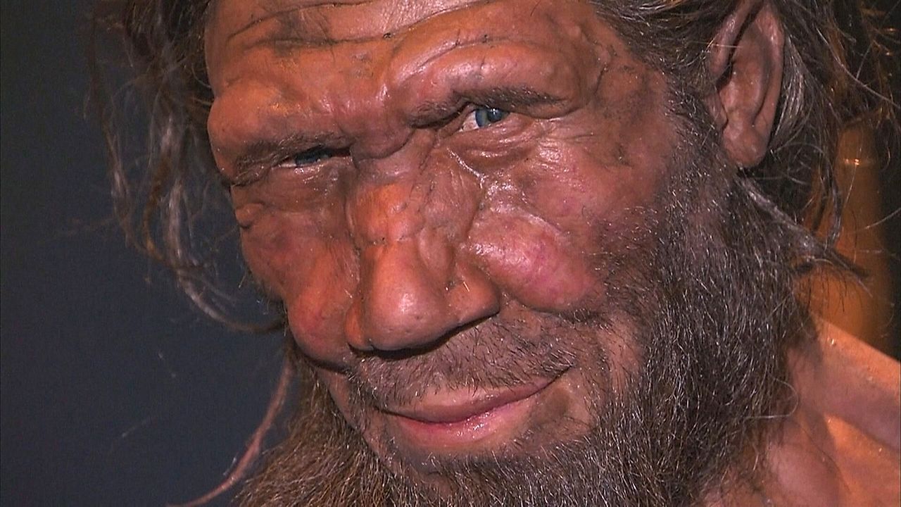 Video: Seitensprünge mit Homo sapiens: Neandertaler standen auf Menschenfrauen