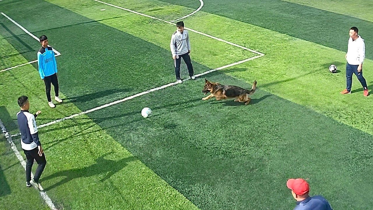 Video: Unexpected player joins casual football match in China