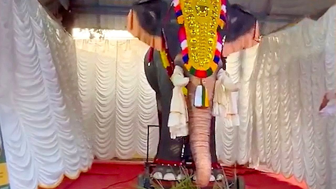 Video: Robotic elephant unveiled at India temple to replace live animals