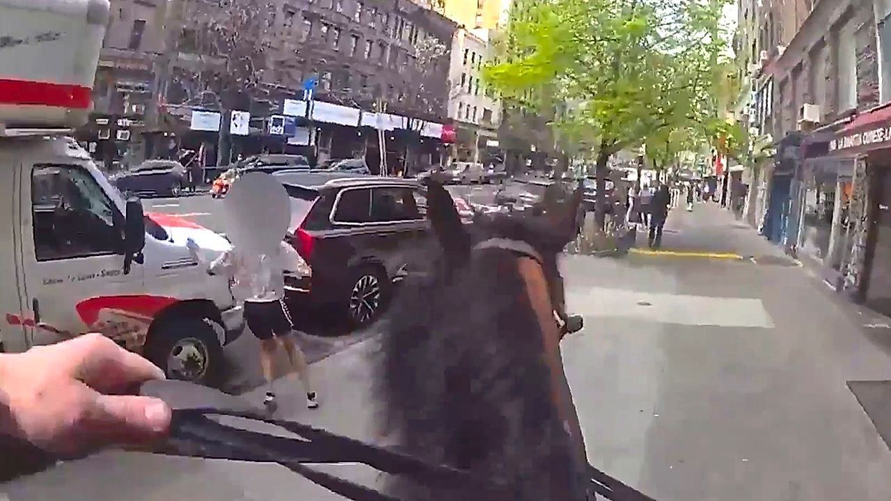 Video: Verfolgung auf Hufen: New Yorker Polizist schnappt Taschendiebin vom Pferd aus