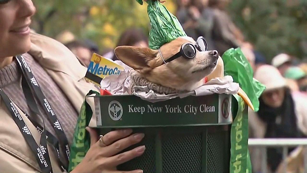 Video: Annual Halloween dog parade kicks off in New York City