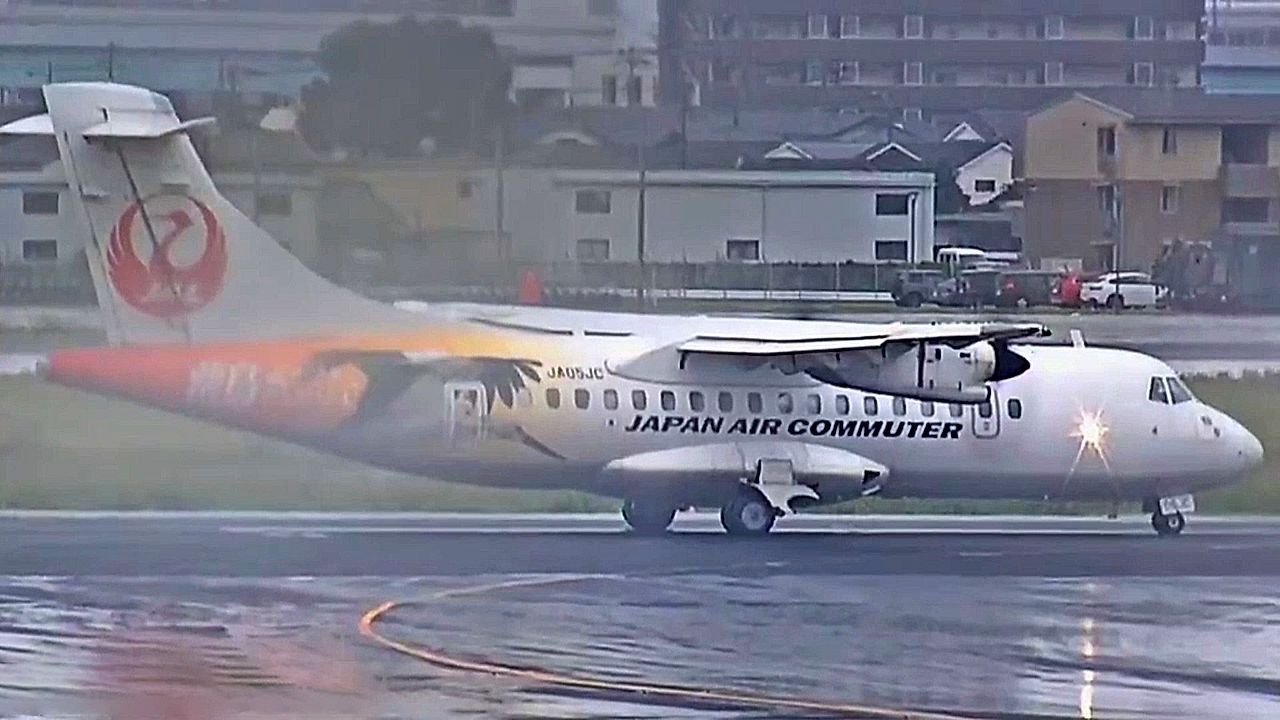 Snake on a plane grounds Japanese flight for nearly two days