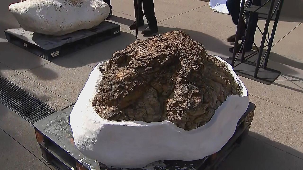 Weltpremiere in North Dakota: Lehrer entdeckt erste T-Rex-Fährte