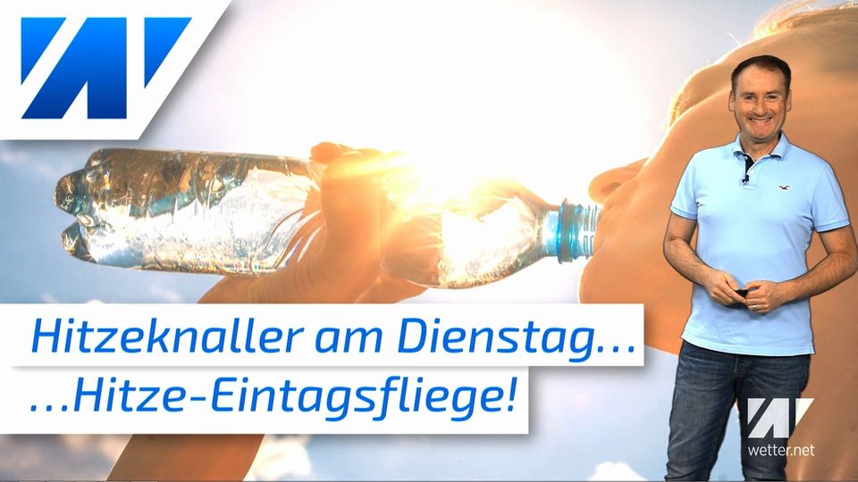 Bis 38 °C! Hitze-Eintagsfliege am kommenden Dienstag!