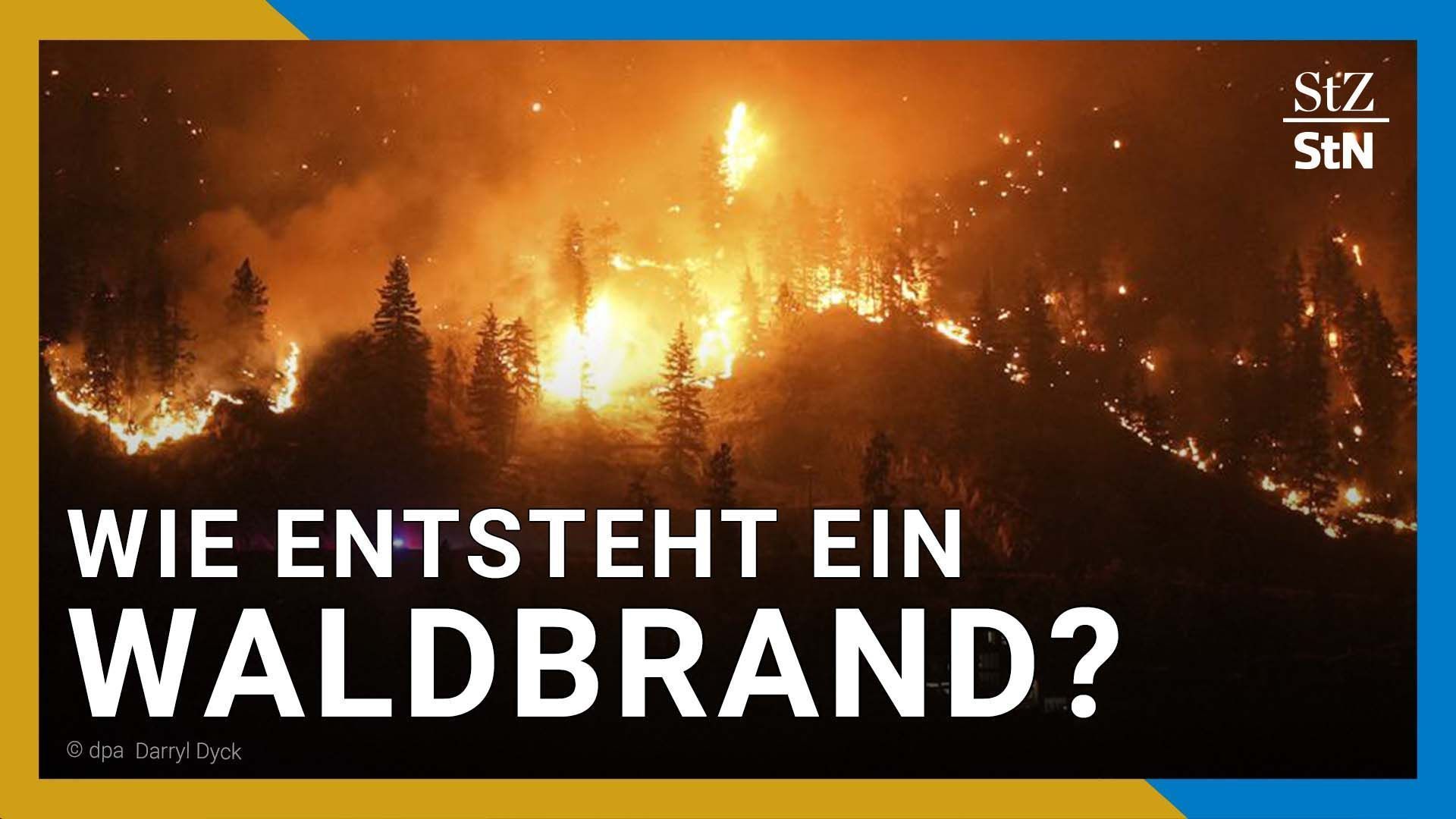 Waldbrandgefahr: Wie entsteht das Feuer im Wald?