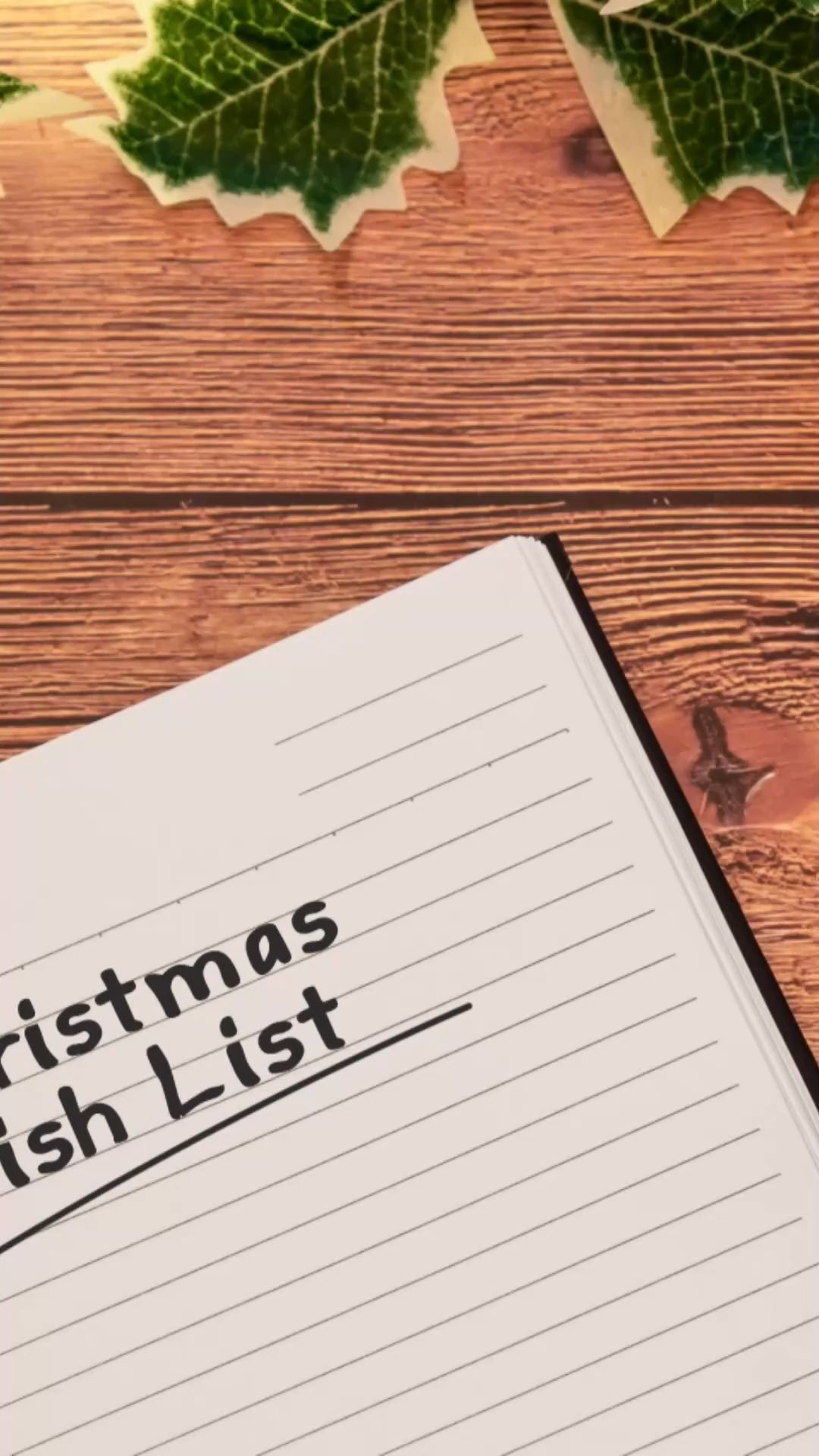 Merry Christmas: Gift Ideas for Everyone