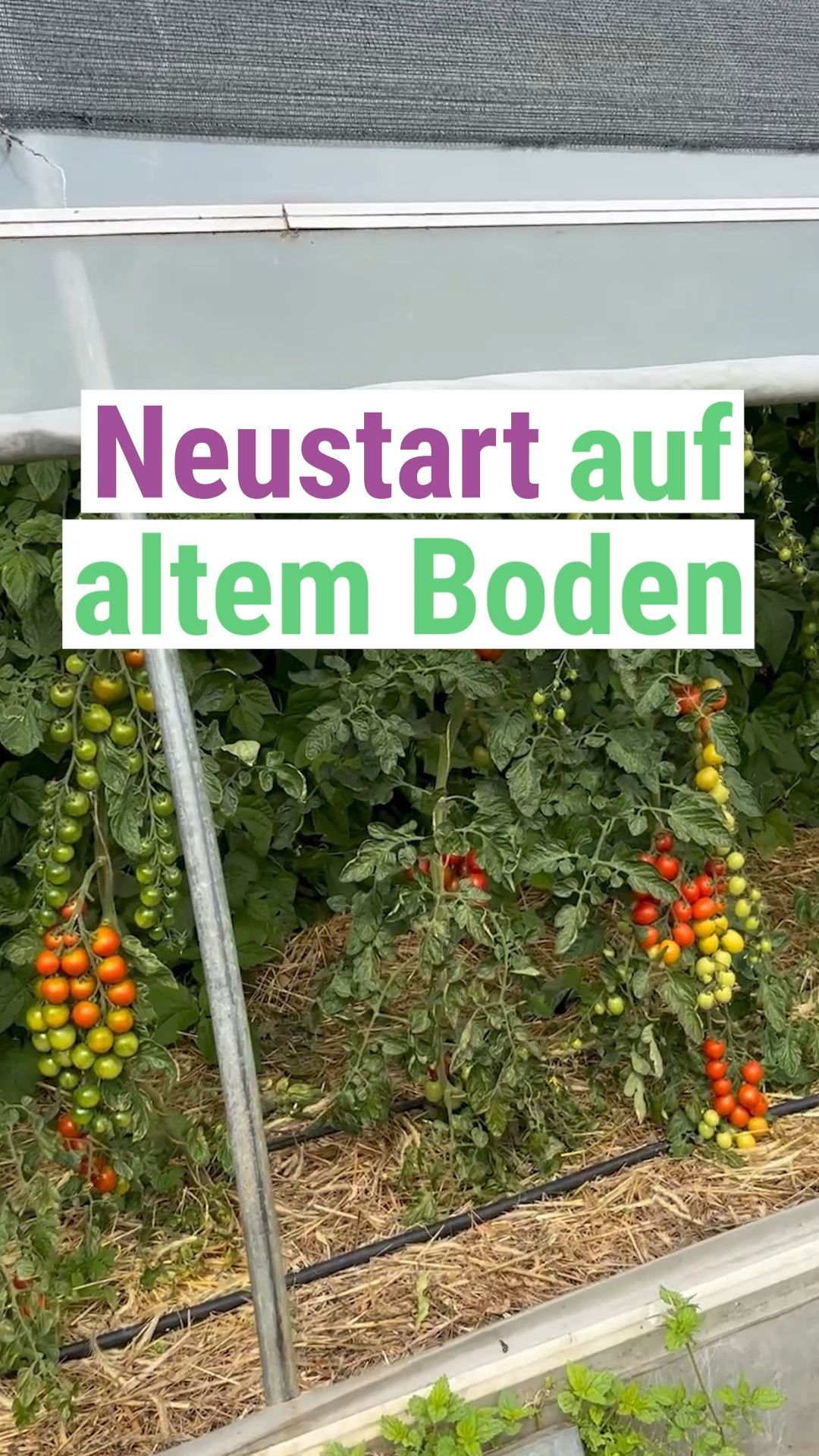 Video: Warum Berlin für die innovativen Landwirte wichtig ist
