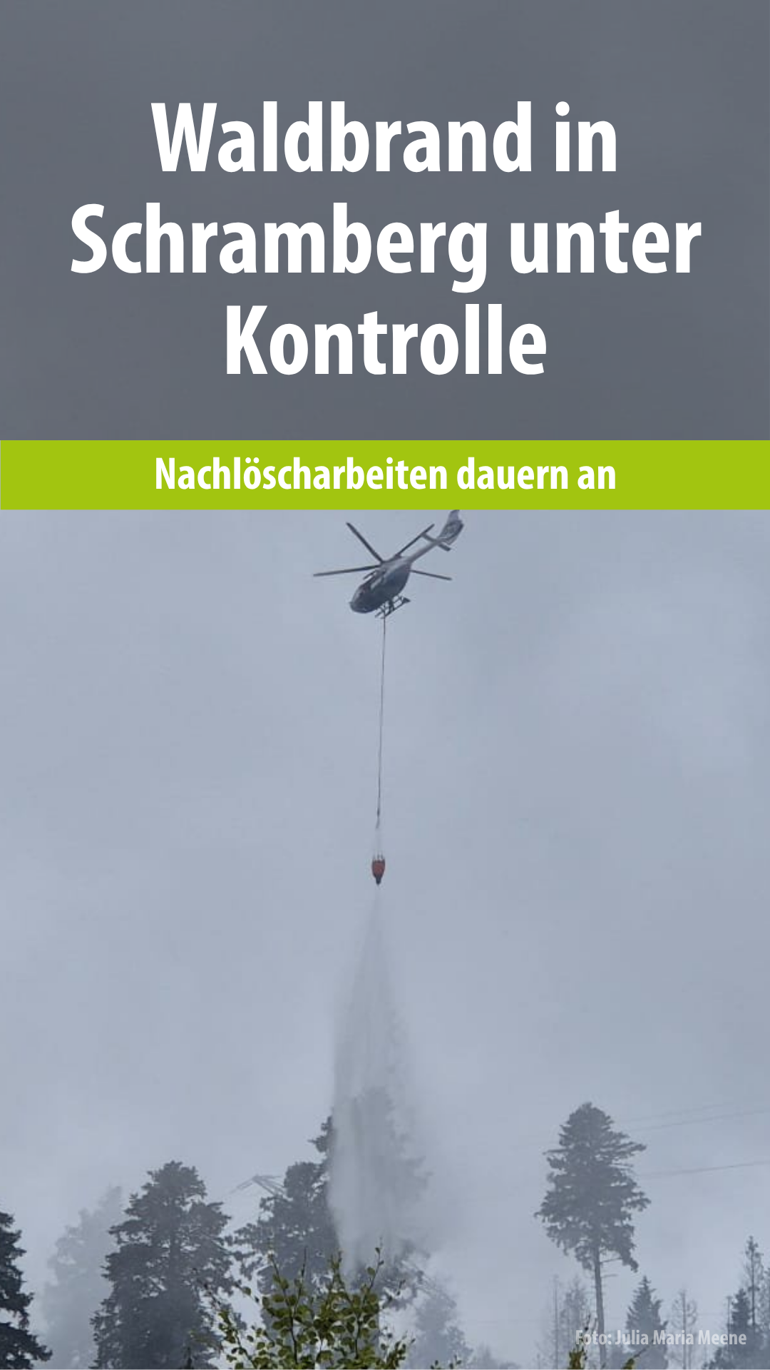 Video: Waldbrand in Schramberg am Montagmittag unter Kontrolle