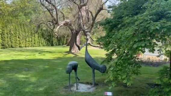 Video: Rosengarten Forst