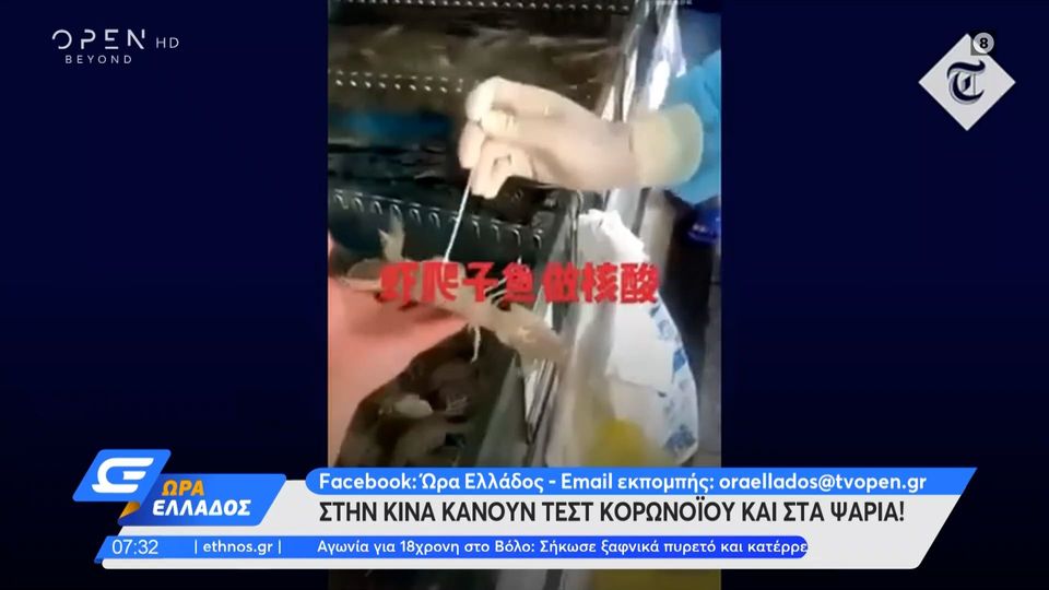 ΒΙΝΤΕΟ: Στην Κίνα κάνουν τεστ κορωνοϊού μέχρι και στα… ψάρια!