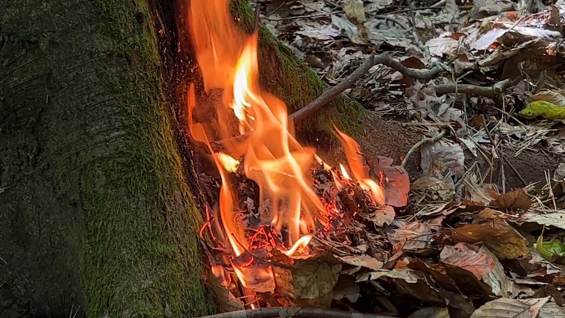 Die Amberger Feuerwehren üben spezielle Taktiken zum Einsatz bei Wald- und Flächenbränden