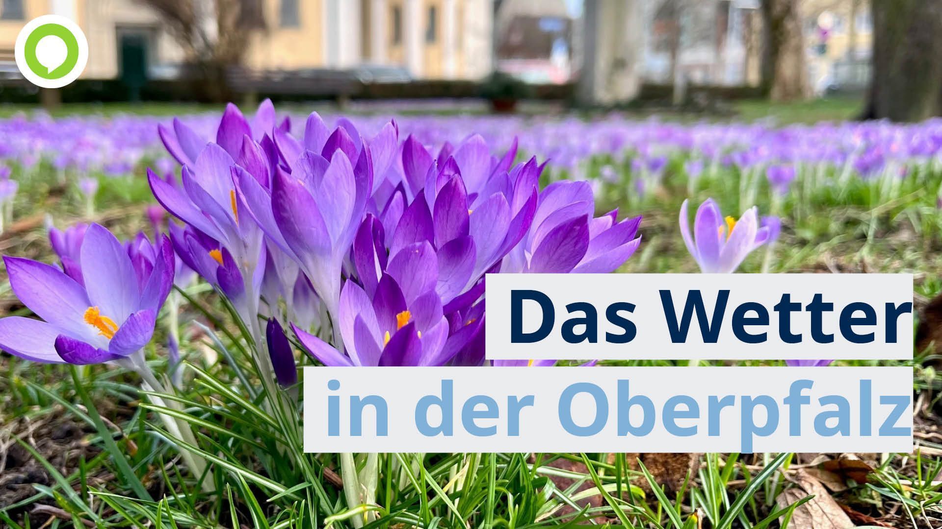 Video: OWetter: Februar endet frühlingshaft