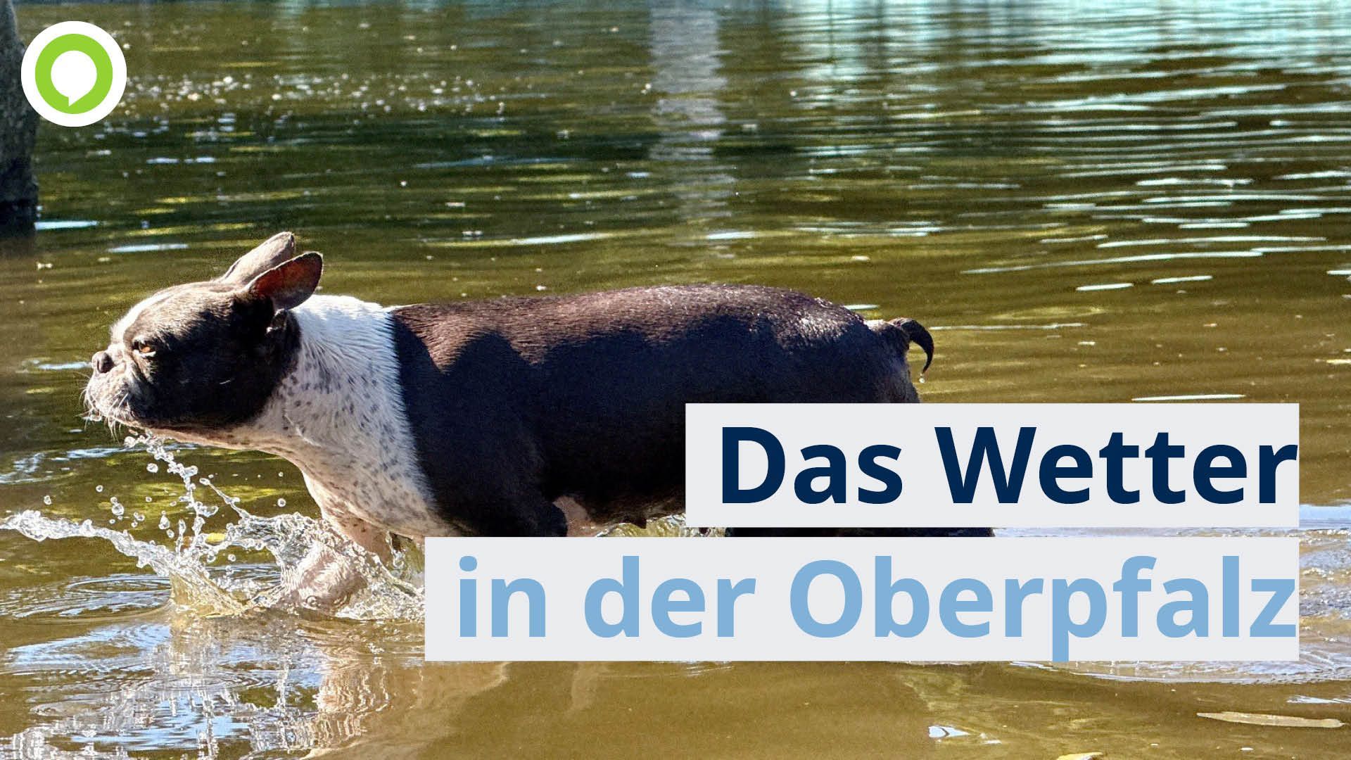 Video: OWetter: Chancen auf Regen steigen