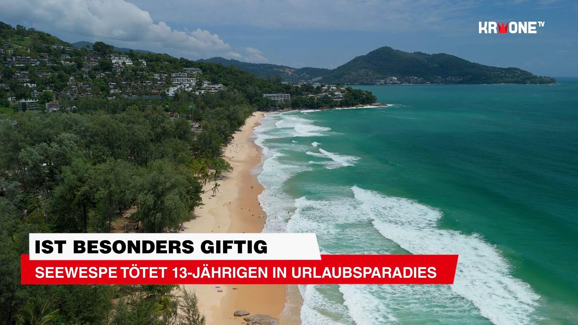Video: Qualle tötet 13-Jährigen in Urlaubsparadies