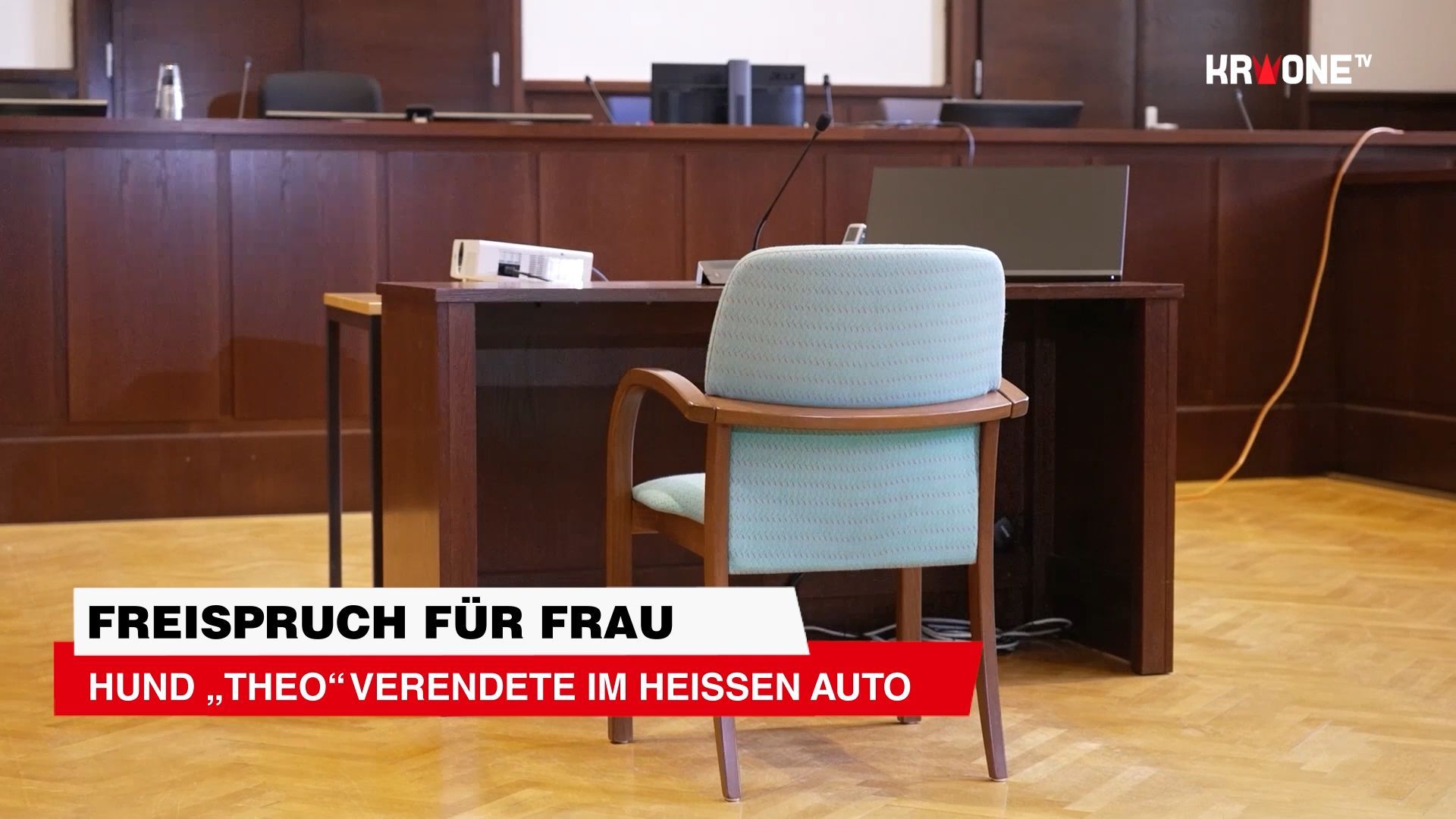 Video: Hund „Theo“ verendete im heißen Auto – Freispruch!