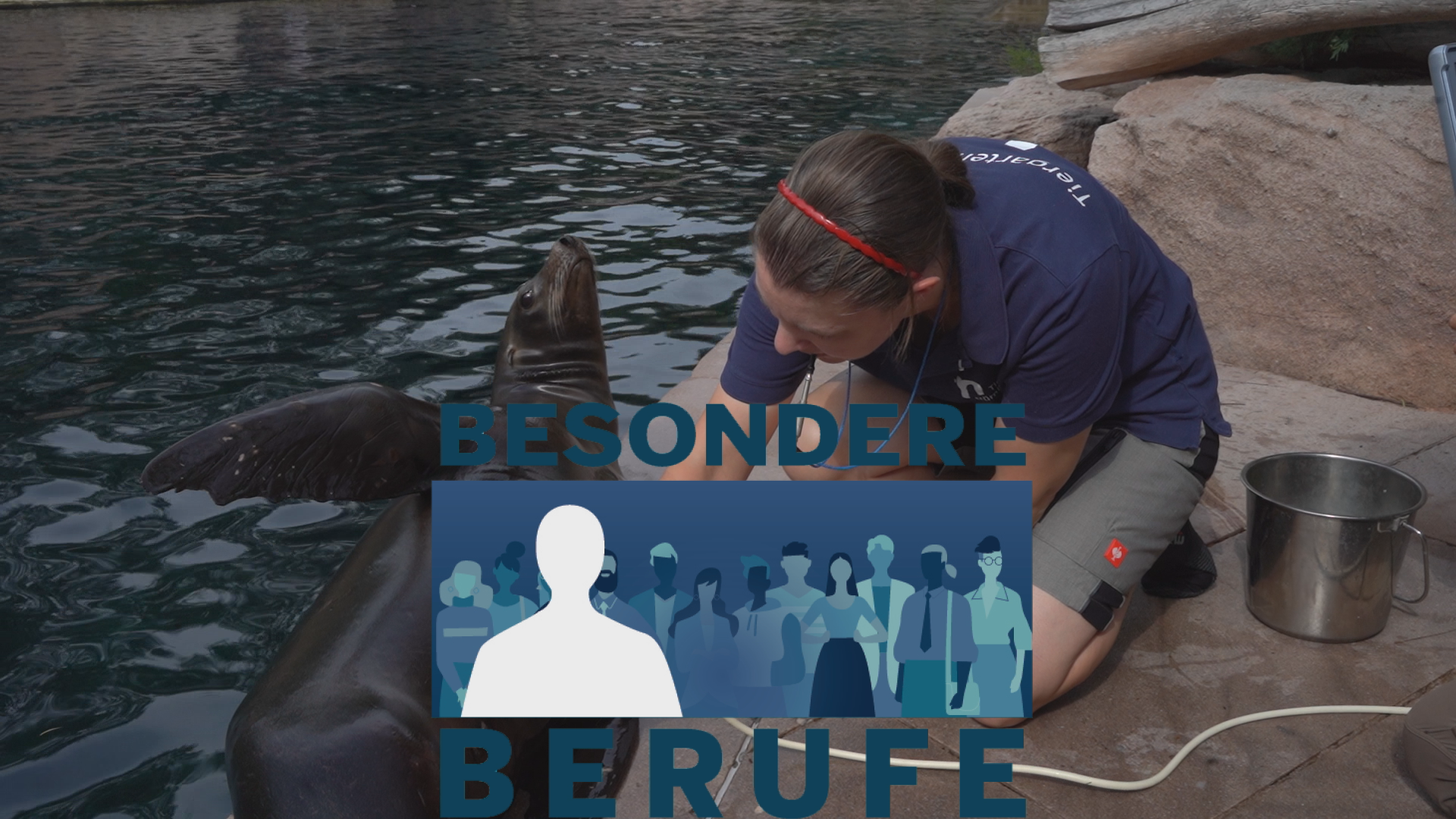 Besondere Berufe: Tierärztin behandelt Seelöwe, Giraffe und Co. ohne Betäubung