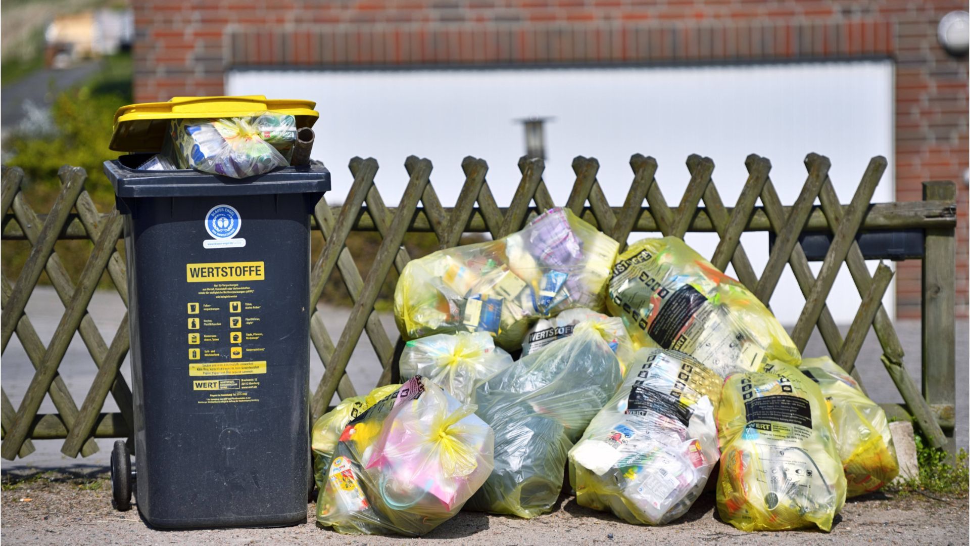 Müll richtig trennen