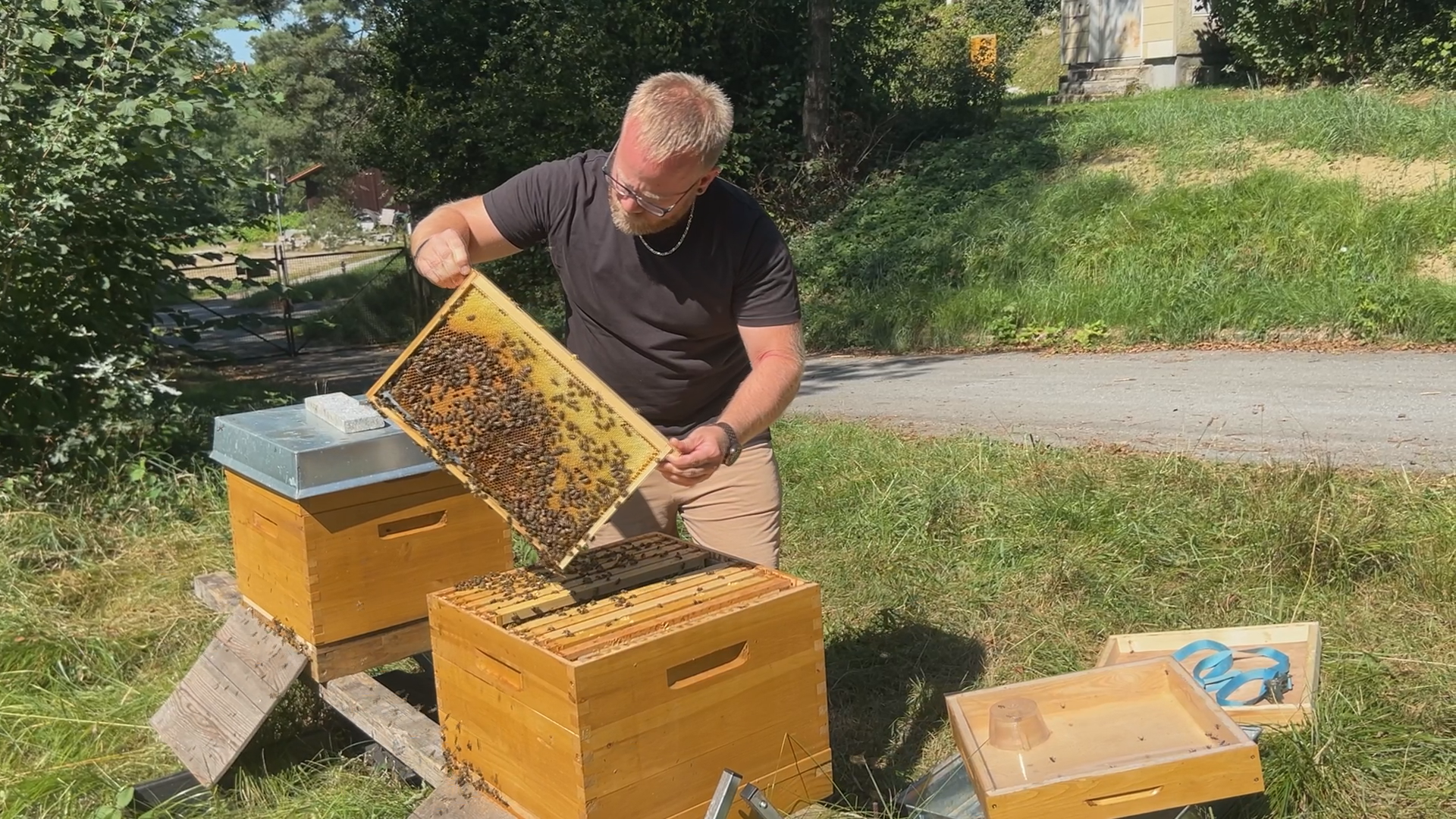Fleißige Helfer: Zu Besuch bei den Bienen der Dreiburgenland Imkerei in Tittling