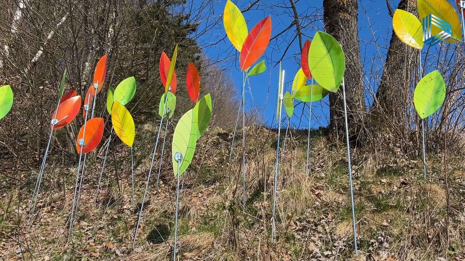 Video: Frühlingserwachen auf dem Gartenschau-Gelände in Freyung