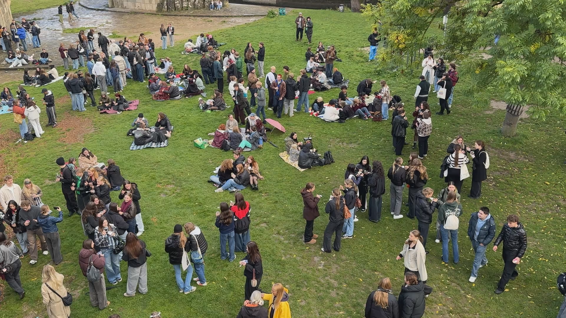 Video: Pudding mit Gabel essen in Regensburg