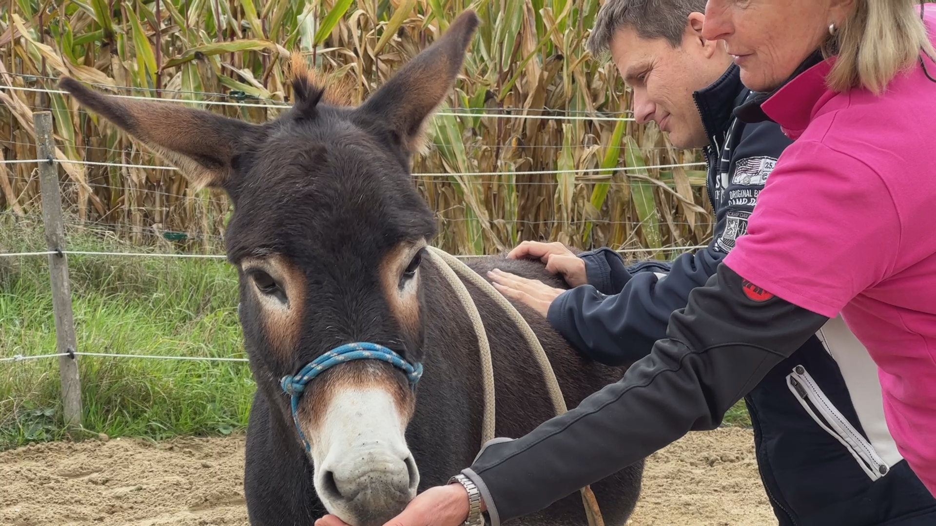 Video: So helfen Esel in der tiergestützten Therapie