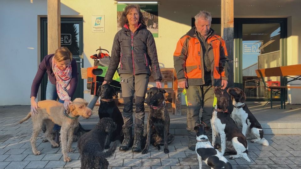 Video: Bei Bischofsmais werden Hunde für die Schwarzwildjagd ausgebildet