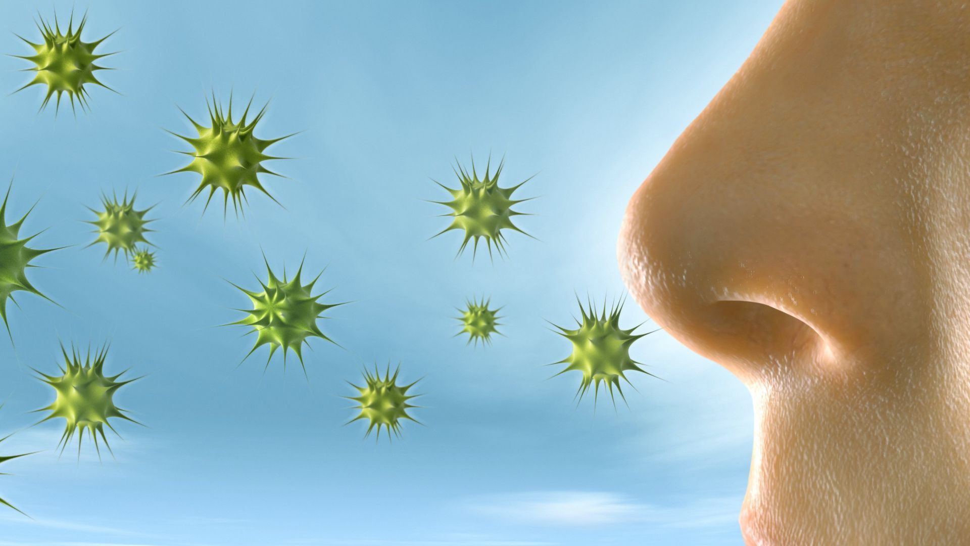 Video: Pollen fliegen früher und länger