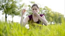 Alcoholic Beverages Make Hay Fever Symptoms Worse