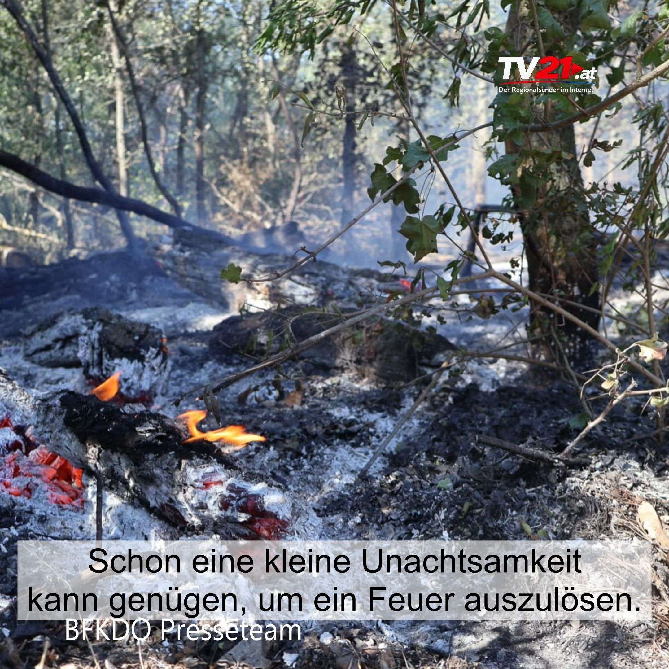 Video: Erhöhte Brandgefahr in Wäldern, Wiesen und Vegetationsflächen
