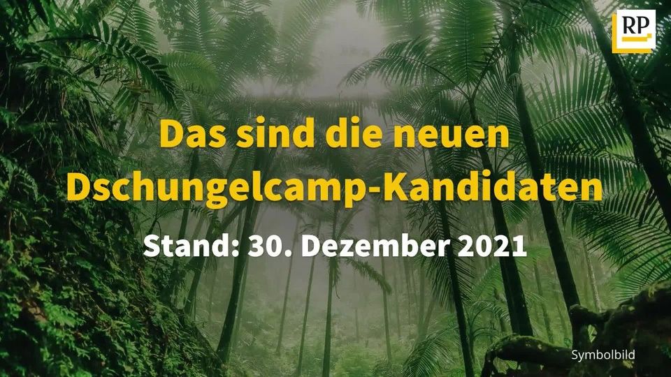 Dschungelcamp 2022 Das Sind Die Neuen Kandidaten