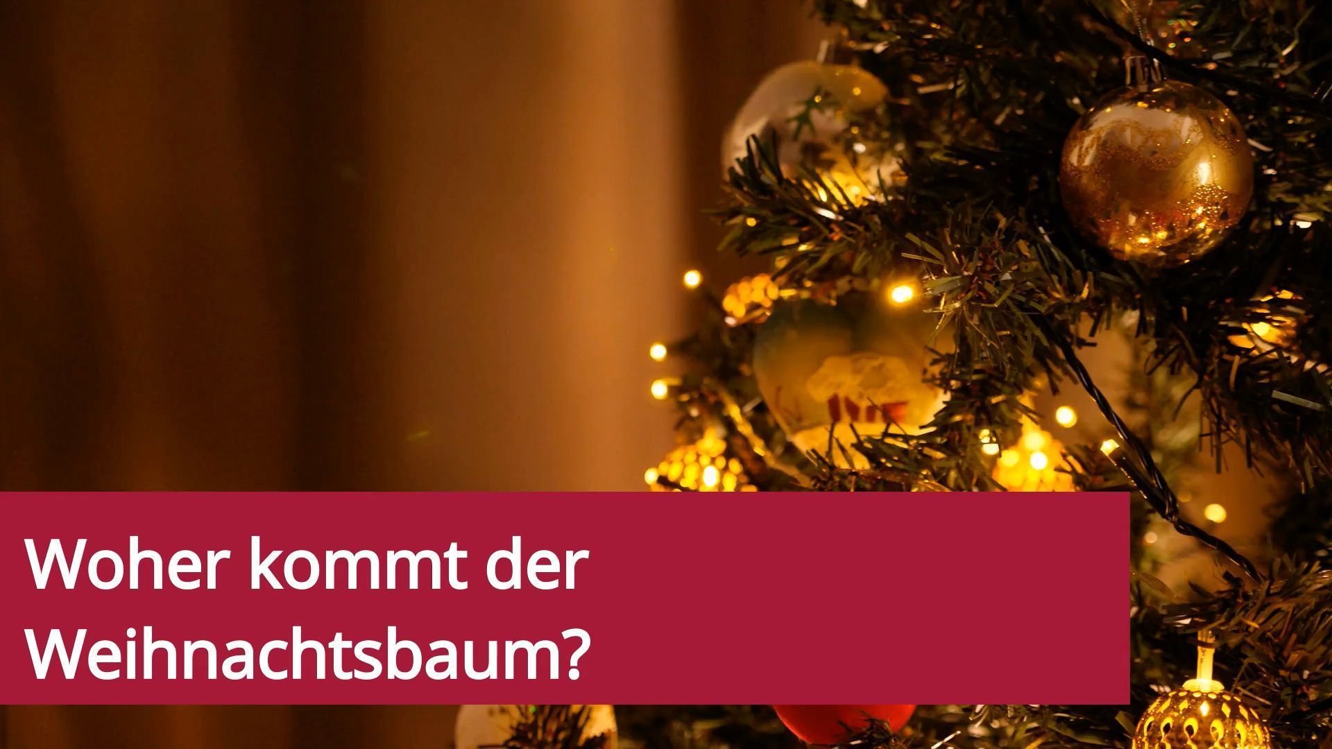 Woher kommt der Weihnachtsbaum?