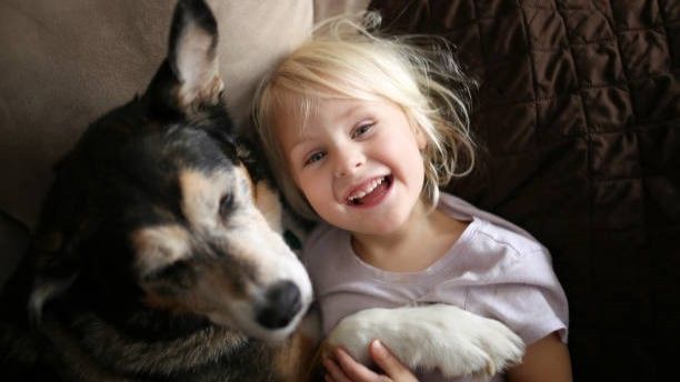 Wie Sie Ihren Kindern helfen, mit dem Verlust eines Haustiers umzugehen