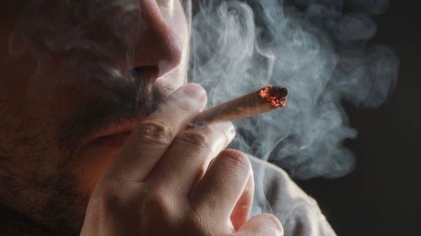 Psychoserisiko steigt bei jugendlichen Cannabiskonsumenten deutlich an