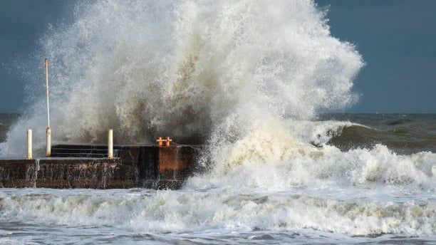 What really happens to the marine world during a hurricane...