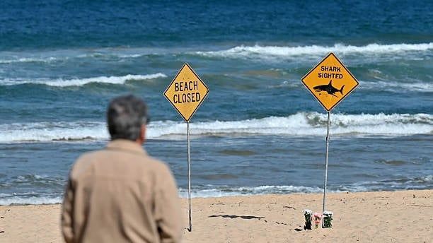 Video: Frau bei Haiangriff in Australien getötet – Mann schwer verletzt