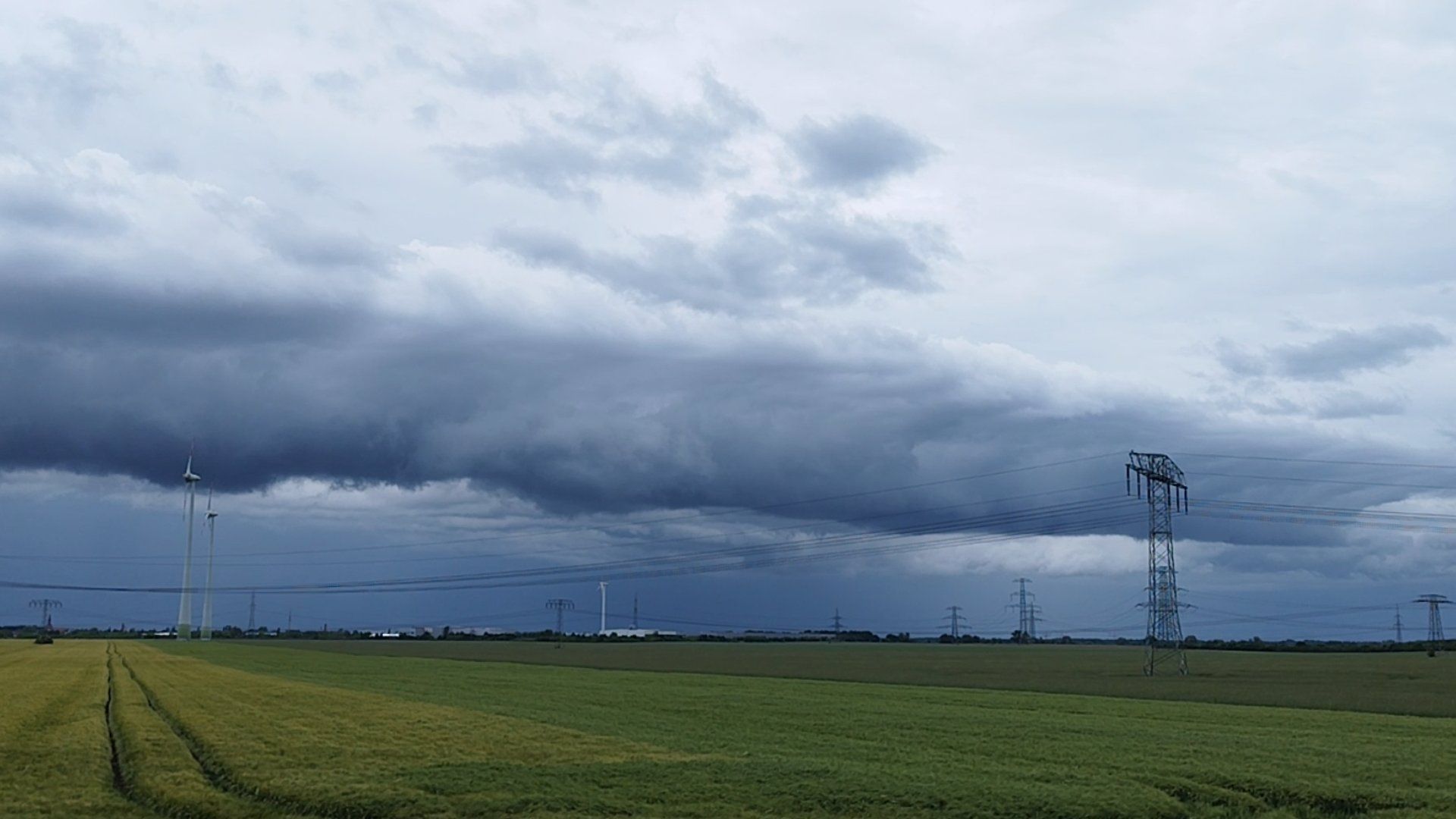 Gewitterlage am 1. Juni 2025 in Brandenburg bringt vor allem Regen für die Natur