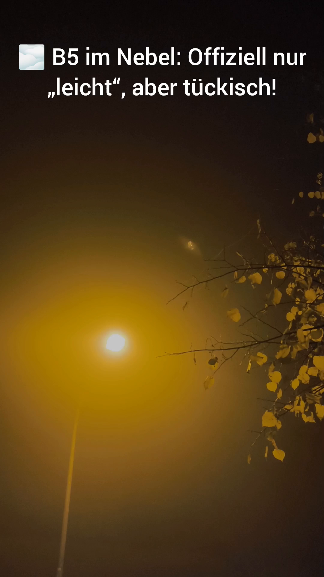 Tückischer Früh-Nebel in Brandenburg: Warum auf der B5 jetzt erhöhte Vorsicht gilt – 9:16