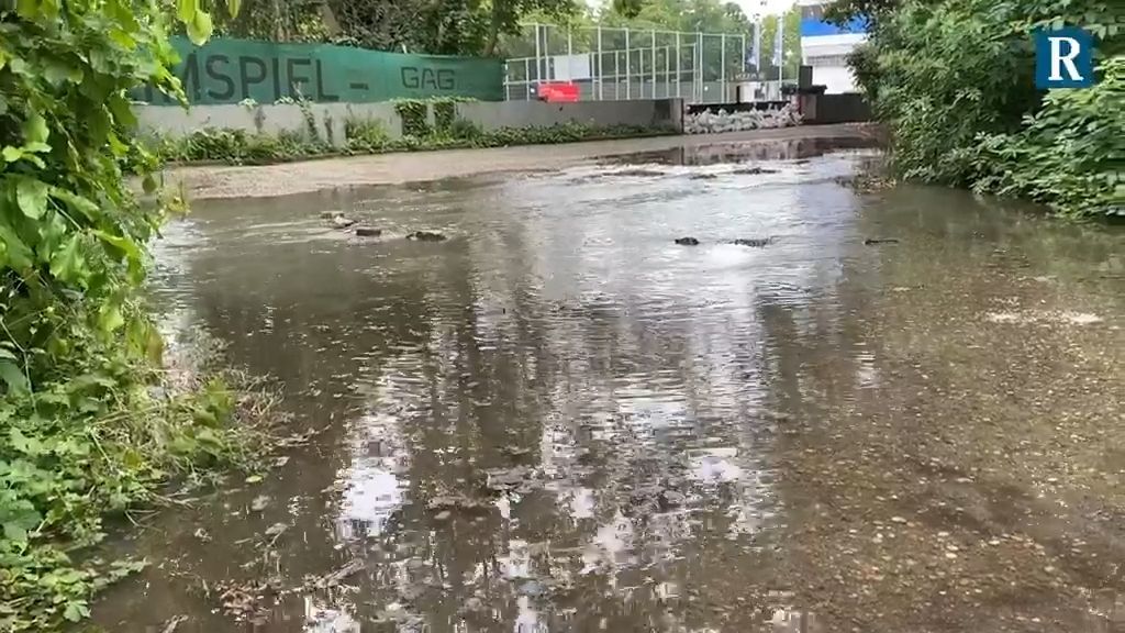 Rheinhochwasser im Juni 2024 in Ludwigshafen