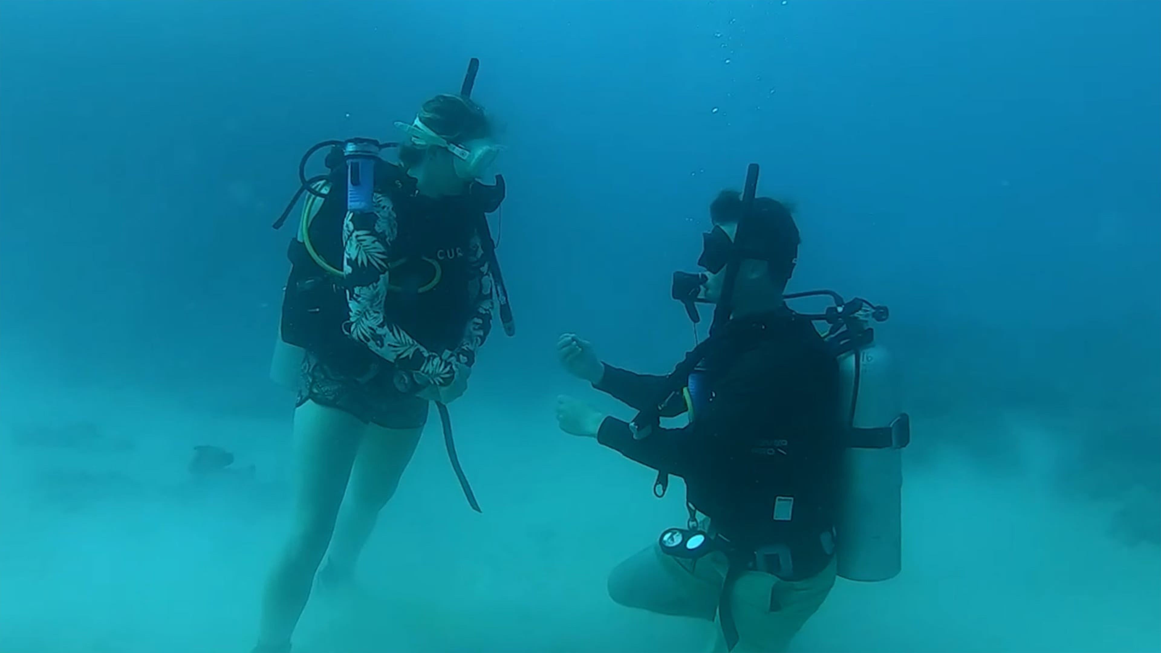 Video: Frau in „totalem Schockzustand“ nach überraschendem Heiratsantrag unter Wasser vor einem Schiffswrack