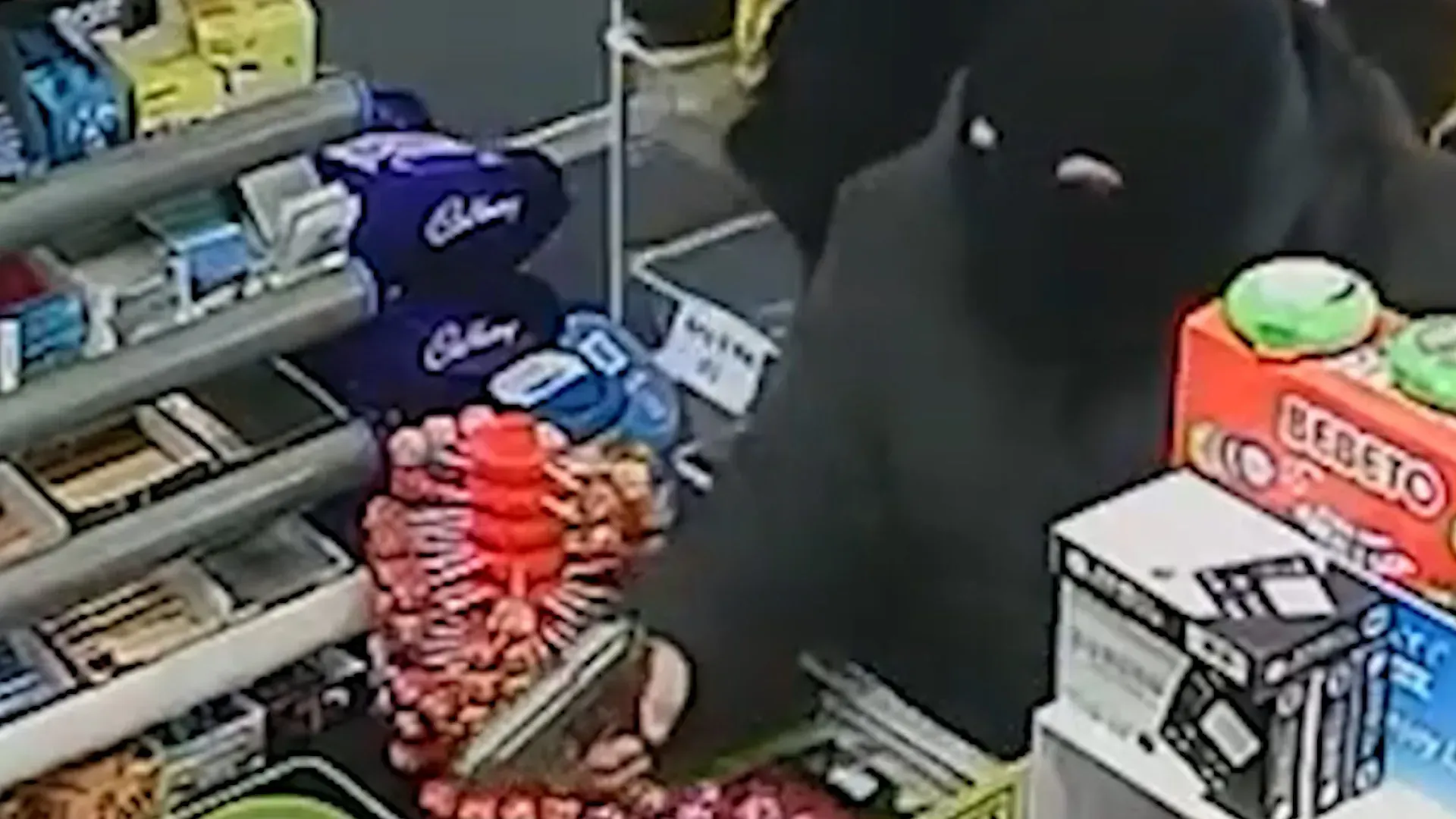 Video: Amateur-Diebe erwischt und im Gefängnis, sie waren bei einem bewaffnetem Überfall in Streit geraten