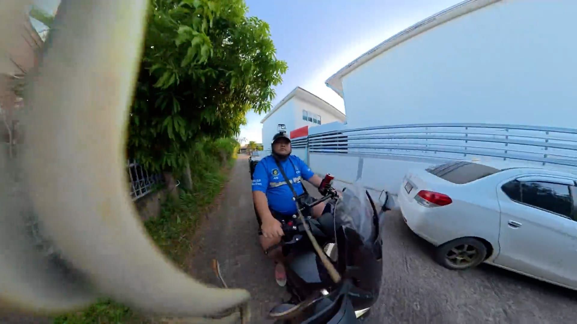 Video: Motorradfahrer erschrickt, als Schlange von einem Baum auf sein Motorrad fällt