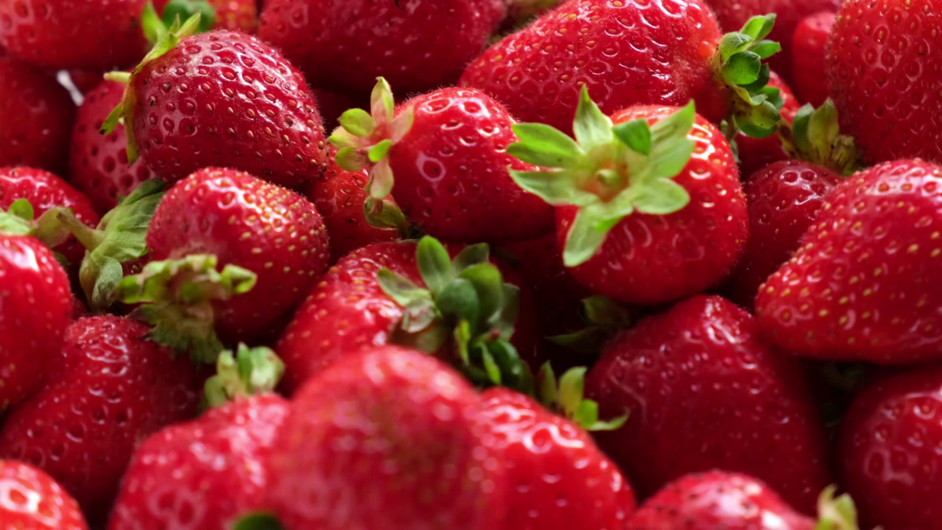Top tips for storage: Keeping strawberries fresh longer
