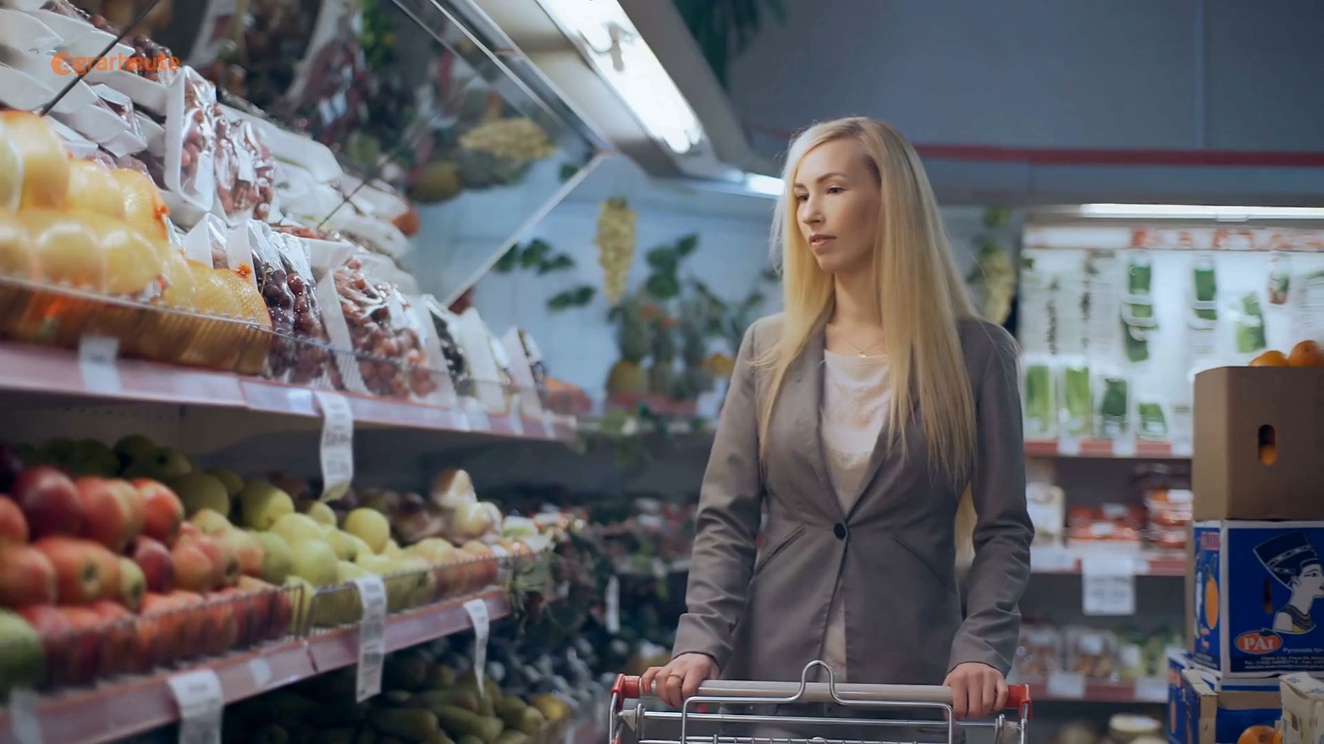 Is Germany's Food Security at Risk?